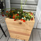 Outdoor Cedar Planters