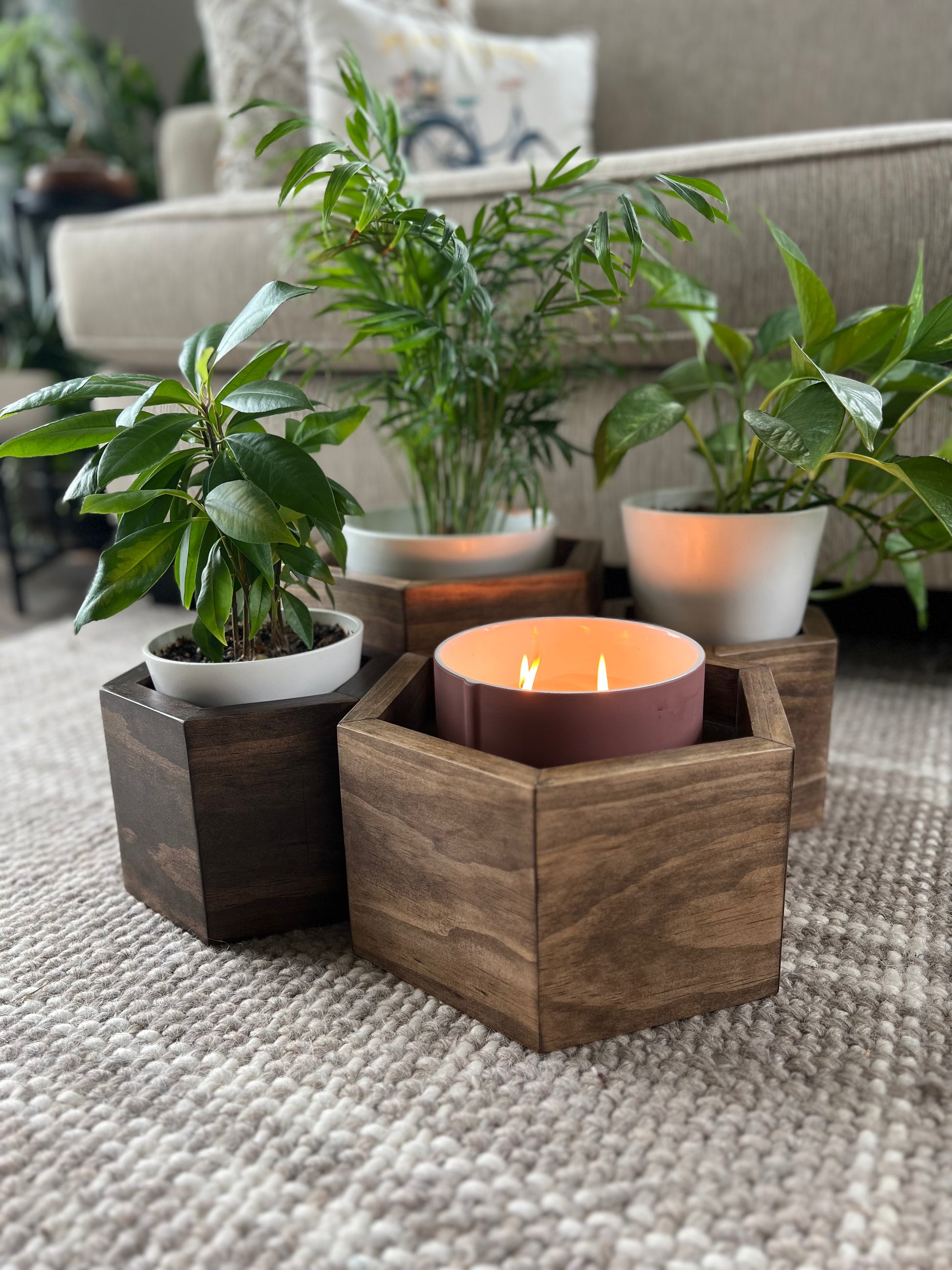 indoor plant box stand Hexagon Plant Stand