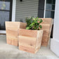 Outdoor Cedar Planters